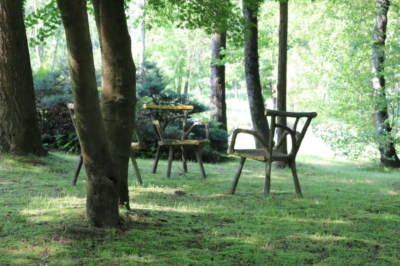 Appartamento Il Girasole Castelletto sopra Ticino Esterno foto